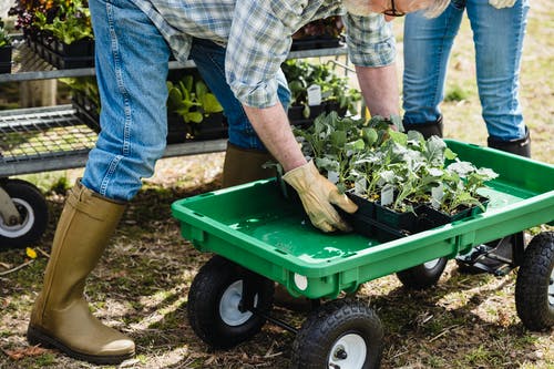 蓝色和白色的格子衬衫，拿着绿色的塑料衬衫和蓝色牛仔牛仔裤的男人 · 免费素材图片