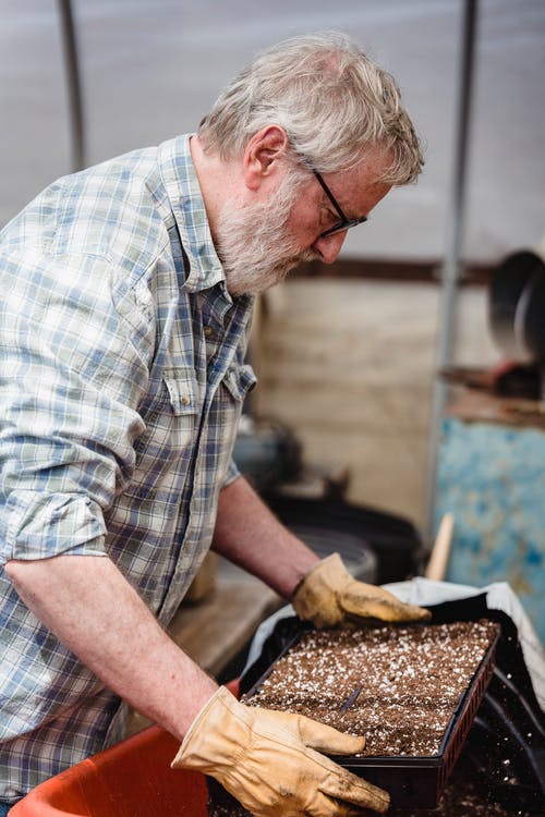 拿着盆栽的老人 · 免费素材图片