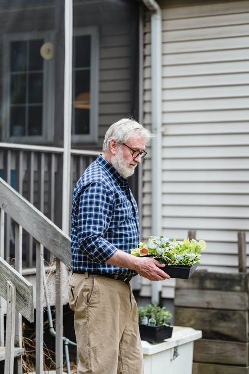 有关垂直拍摄, 握住, 盆栽的免费素材图片