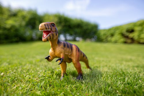 有关trex, 恐龙, 模糊的背景的免费素材图片