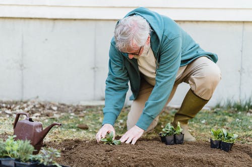 在土壤中种植的老人 · 免费素材图片