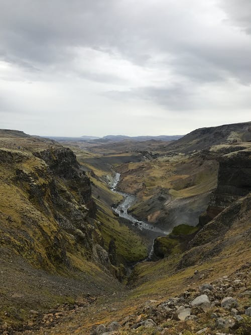 有关之间, 垂直拍摄, 天性的免费素材图片