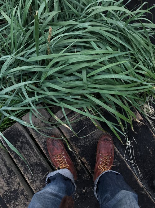 有关尺, 垂直拍摄, 户外的免费素材图片