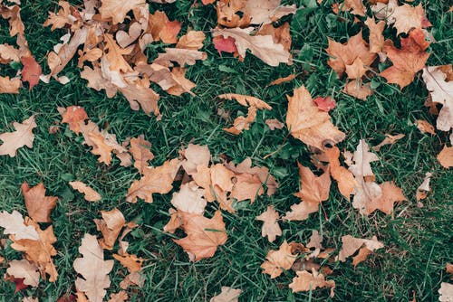 有关Copyspace, 一般开销, 下落的免费素材图片