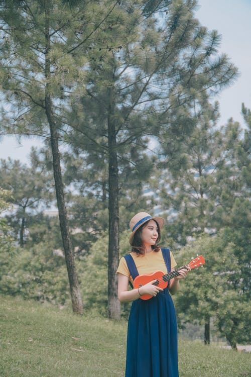 有关休闲, 嗜好, 四弦琴的免费素材图片