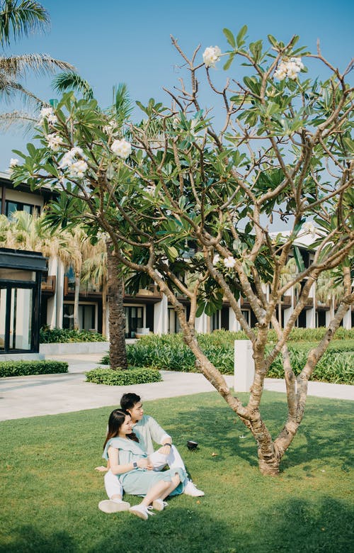 有关一对, 一起, 丈夫的免费素材图片