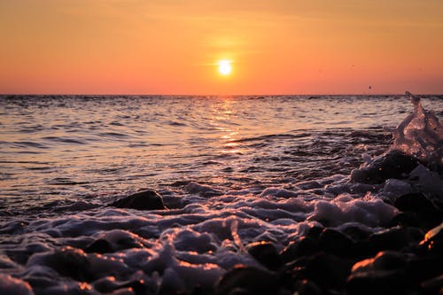 有关地平线, 天性, 招手的免费素材图片