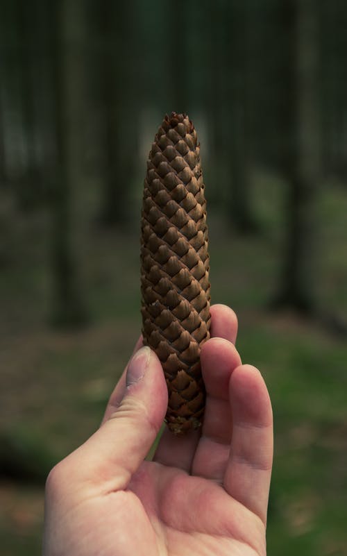 有关垂直拍摄, 手, 握住的免费素材图片