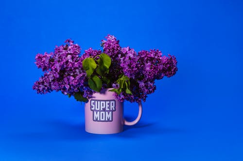 有关持械抢劫, 植物群, 紫丁香的免费素材图片