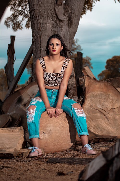 有关中空装, 动物印花, 坐的免费素材图片