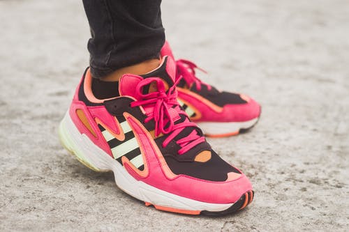 有关尺, 特写, 蕾丝的免费素材图片