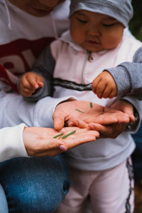 有关一起, 休闲, 儿童的免费素材图片