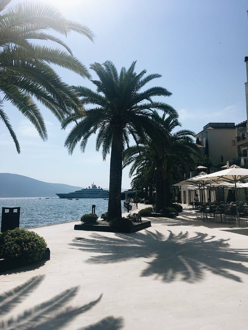 有关假日, 假期, 垂直拍摄的免费素材图片