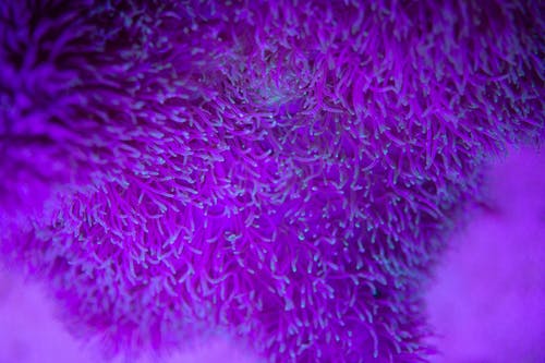 有关和谐, 地平线, 天性的免费素材图片