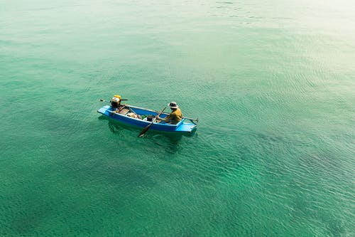 有关人, 划桨, 水运的免费素材图片