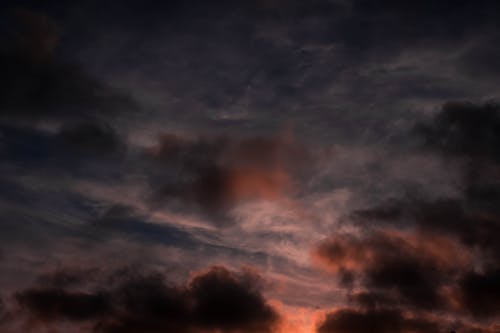 有关充满活力, 冷静, 厚的免费素材图片