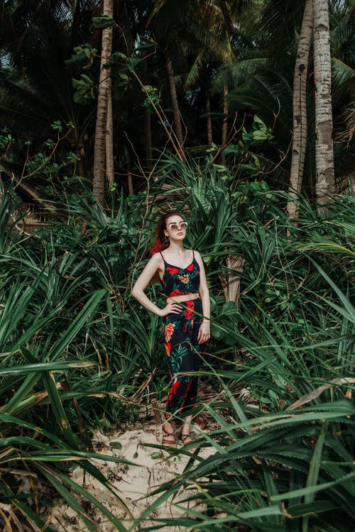 有关不情绪化, 休息, 假期的免费素材图片