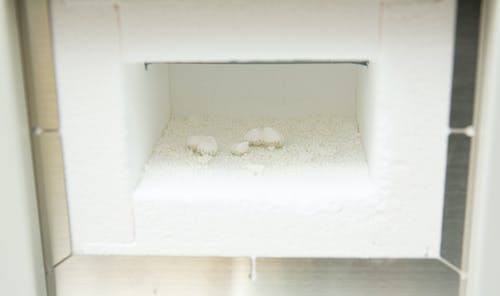 有关人造, 假, 假体的免费素材图片