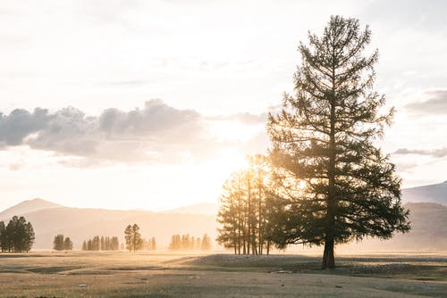 有关光, 冷静, 华丽的的免费素材图片