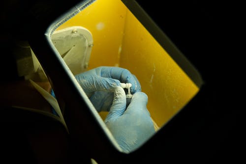 有关不露面, 专家, 主的免费素材图片