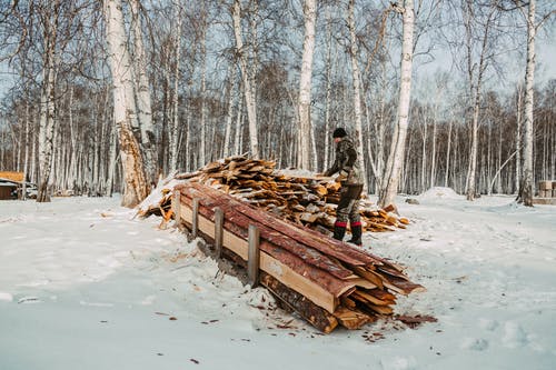 有关冬季, 冷, 切碎的木头的免费素材图片