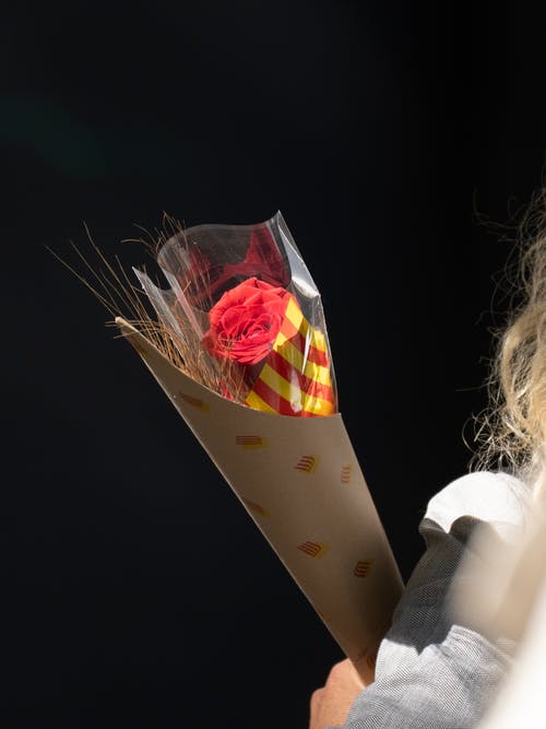 有关微妙, 握住, 黑色背景的免费素材图片