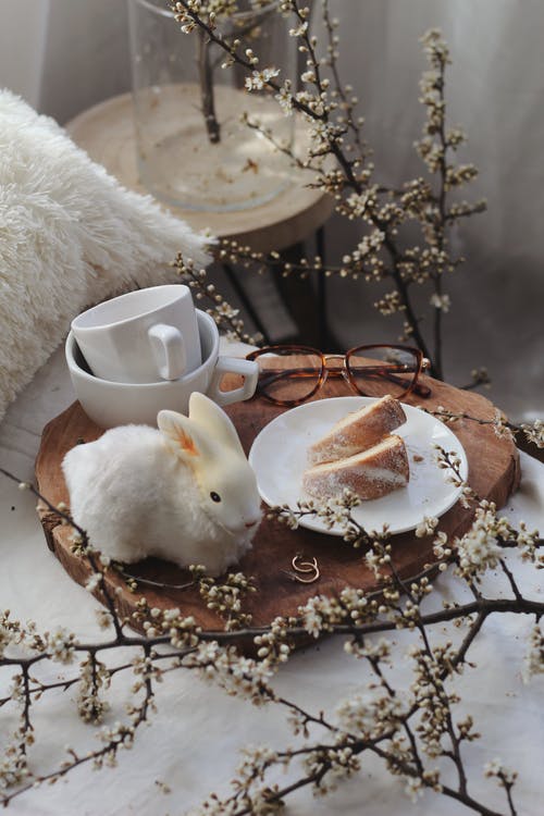 有关一个, 上菜, 事件的免费素材图片