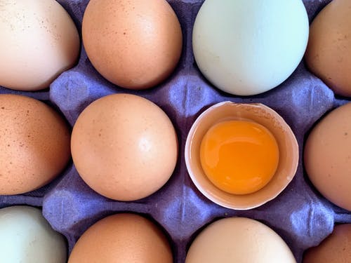有关从上面查看, 蛋, 蛋托盘的免费素材图片