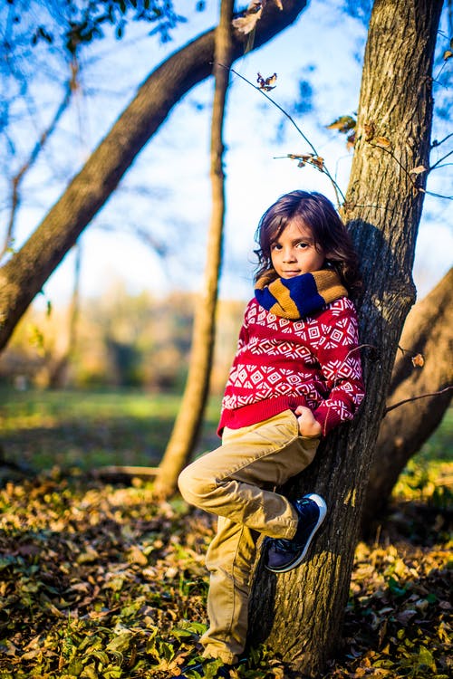 有关倚, 儿童, 全景的免费素材图片