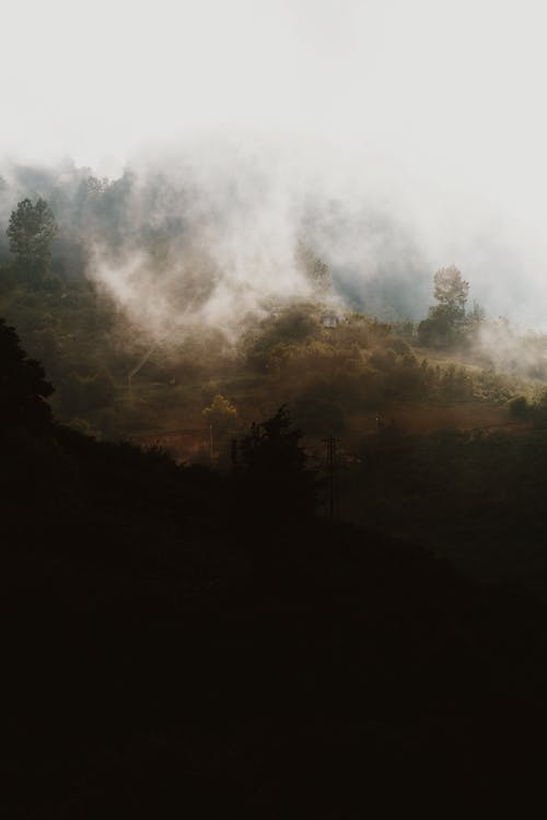 有关Copyspace, 不变, 冷静的免费素材图片