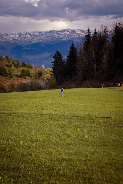 有关人, 垂直拍摄, 天性的免费素材图片