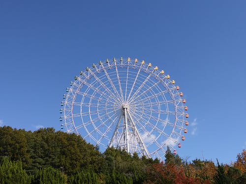 有关不亦乐乎, 主题公园, 嘉年华的免费素材图片