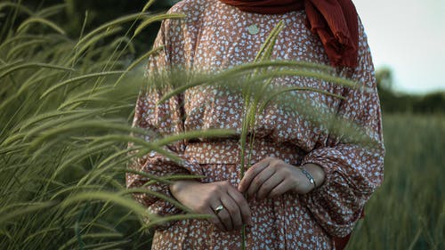 有关不露面, 休息, 优雅的免费素材图片