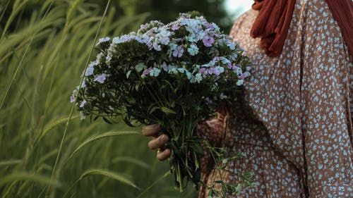有关一串, 不露面, 侧面图的免费素材图片