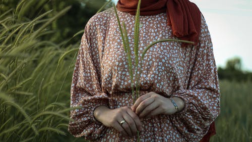 有关不露面, 优雅, 冷静的免费素材图片