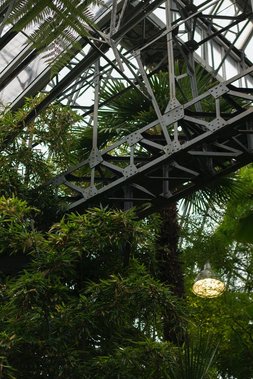 有关从下面, 低角度, 公园的免费素材图片