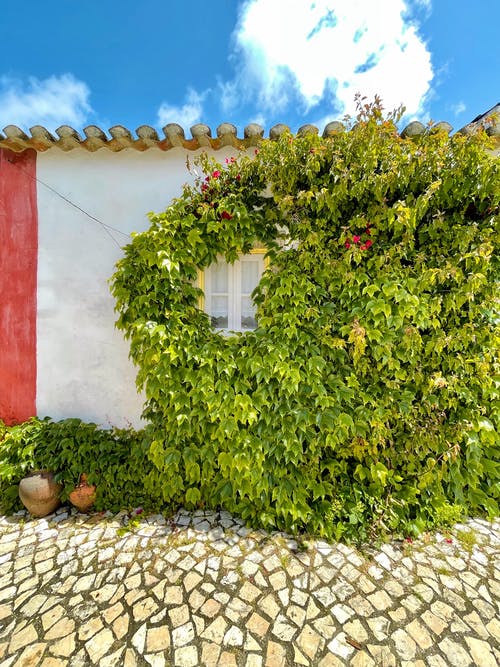 有关圆石, 垂直拍摄, 户外的免费素材图片