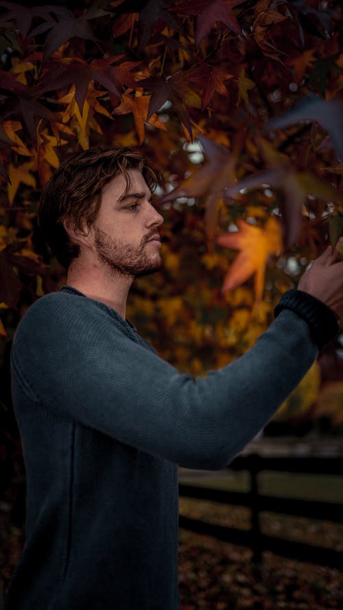 有关下落, 人, 侧面图的免费素材图片