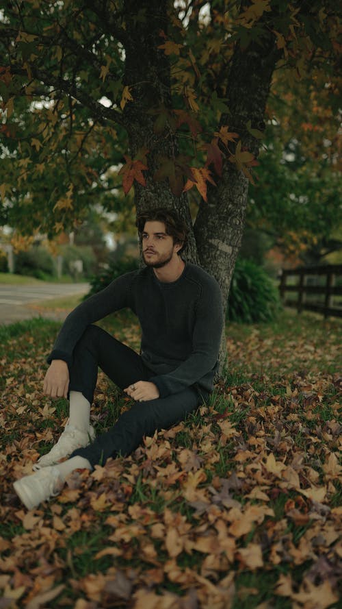 有关下落, 人, 在树下的免费素材图片