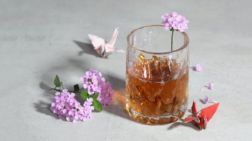 有关喝, 天气好, 棕色的免费素材图片