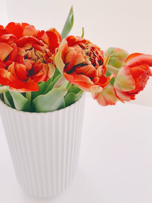 有关一串, 优雅, 垂直拍摄的免费素材图片