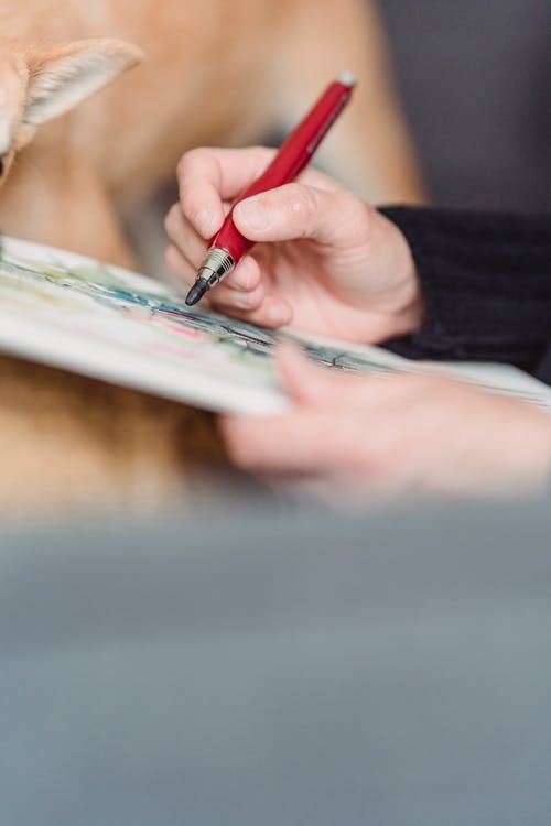 有关创作的, 创造力, 嗜好的免费素材图片