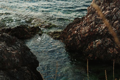 有关冷静, 和平, 和平的的免费素材图片