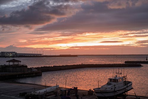 有关假期, 冷静, 华丽的的免费素材图片