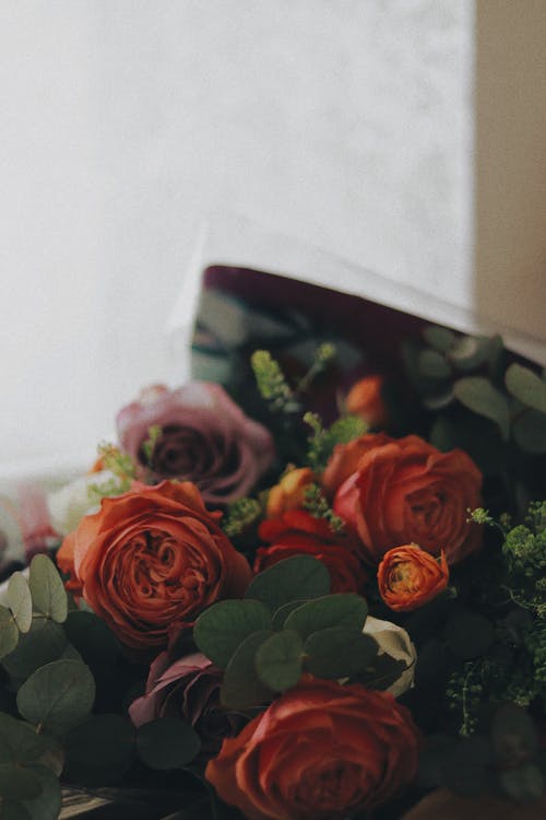 有关Copyspace, 什锦的, 作文的免费素材图片