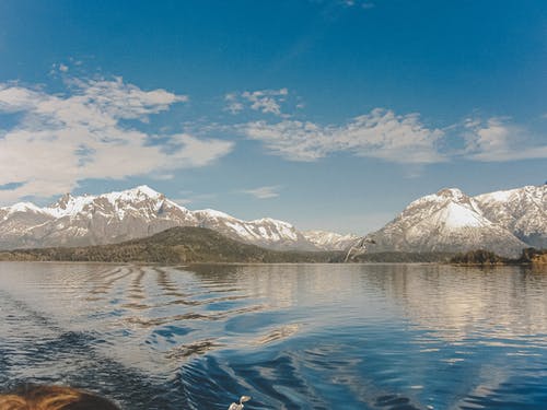 有关冷静, 华丽的, 反射的免费素材图片