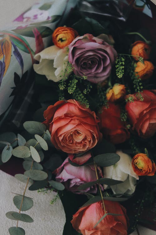 有关什锦的, 作文, 光滑的免费素材图片