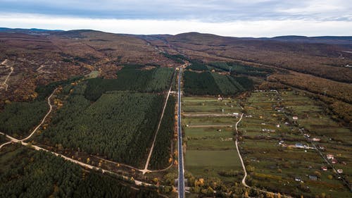 有关乡村小路, 树木, 无人机摄影的免费素材图片
