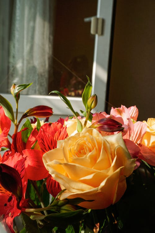 有关垂直拍摄, 微妙, 插花的免费素材图片