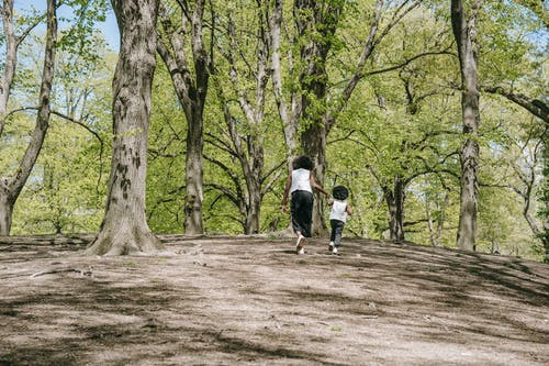 有关儿童, 公园, 女人的免费素材图片